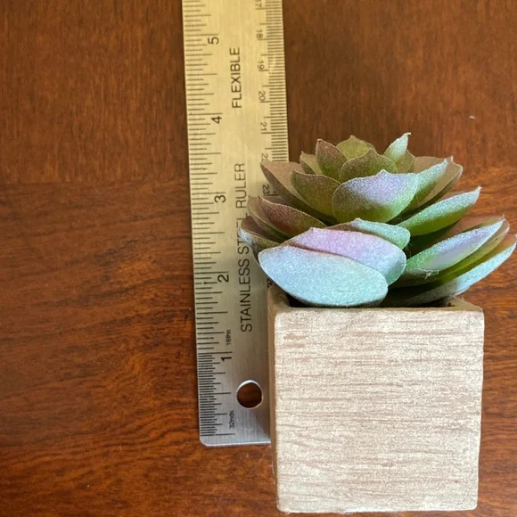 Faux Succulents set of two. EUC - Picture 6 of 8